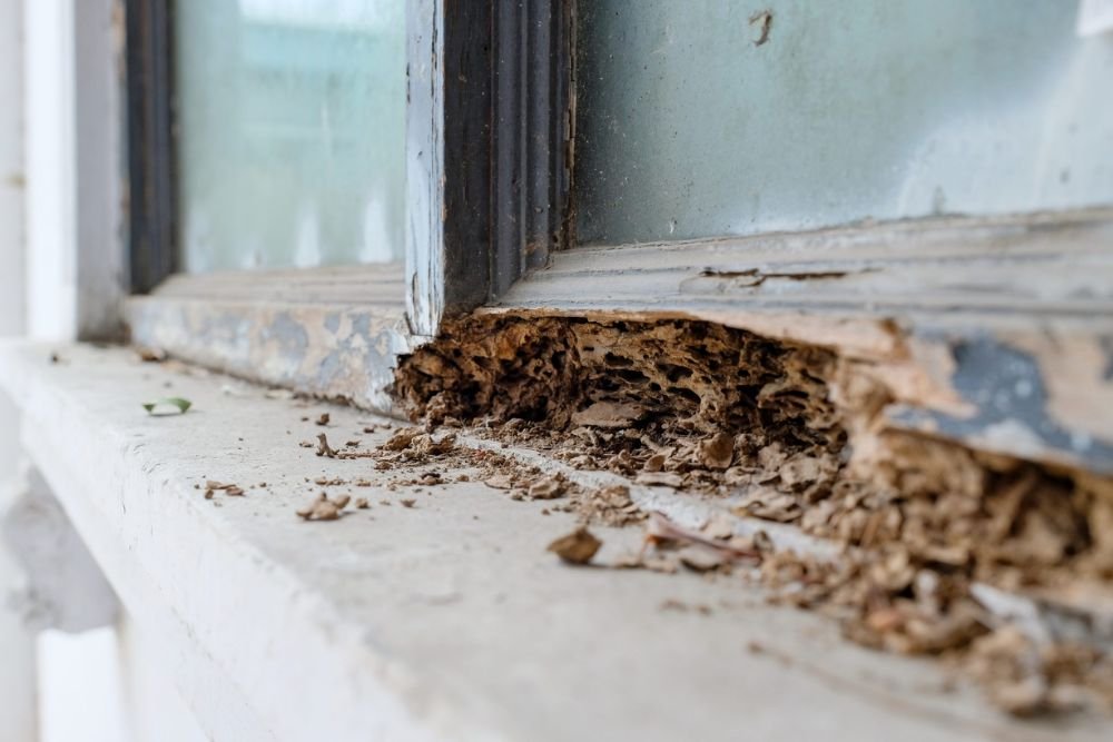 A cracked window with a damaged frame, highlighting the need for termite control services in San Jose, CA.